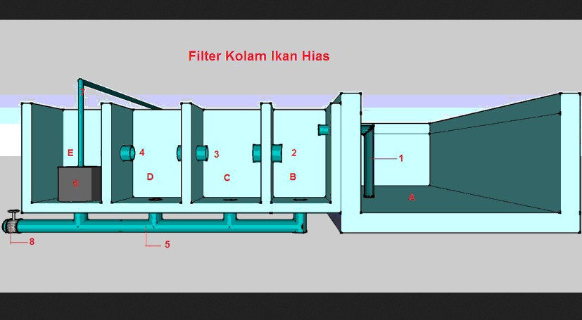 Cara Terlengkap Membuat Kolam Ikan - Info Seputar Ikan