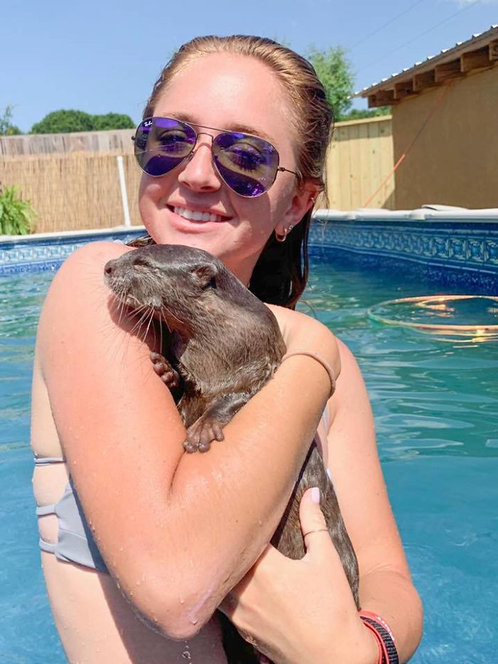 Animal Preserve Allows People To Swim With Adorable Tiny Otters