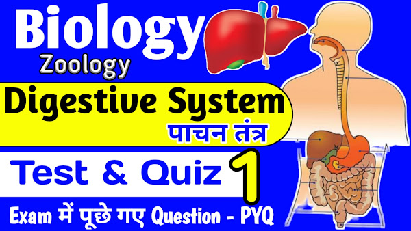 Digestive system Quiz & Test