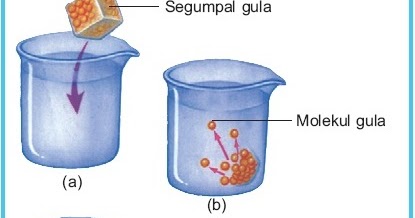  Difusi  Sederhana Proses  Mekanisme