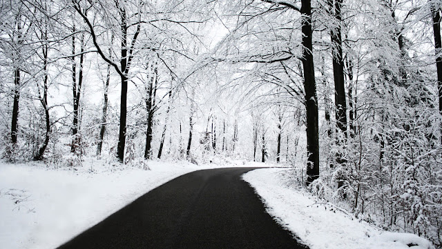 Free Download Winter Snowy Road HD Wallpapers for iPhone 5