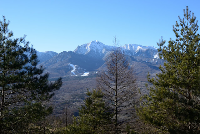 飯森山から八ヶ岳