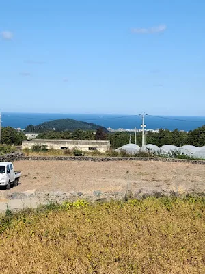 애월 토지의 두번째 사진