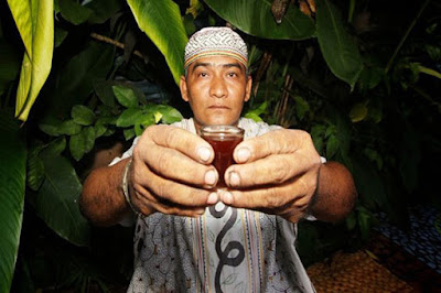 Ayahuasca Perú, ritual ayahuasca, donde hacer ayahuasca Perú
