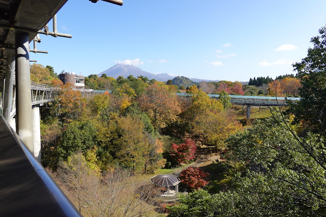 鳥取県西伯郡南部町鶴田 とっとり花回廊