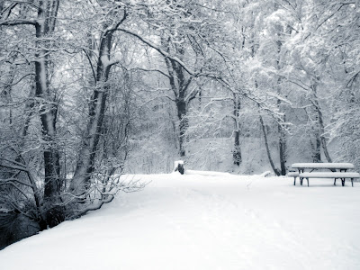 Winter Backgrounds