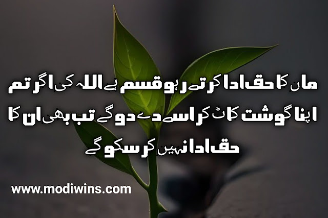 poetry maa, poetry about maa, poetry for maa, maa in urdu poetry, maa poetry in urdu, maa baap poetry, maa ki shan poetry in urdu, maa baap poetry in urdu, maa ki yaad poetry, maa poetry in hindi, maa poetry in punjabi, maa sad poetry in urdu, poetry on maa in english, waldain maa baap poetry in urdu, beti se maa ka safar poetry, maa beti poetry, maa di shan poetry, maa ki yaad poetry in urdu, allama iqbal poetry in urdu maa ka khawab, allama iqbal poetry maa ki dua, eid maa poetry, eid sad poetry maa, maa baap ki dua poetry, maa baap poetry in hindi, maa baap poetry in punjabi, maa baap poetry sms, maa baap poetry status, maa baap urdu poetry images, maa beta poetry, maa ka pyar poetry, poetry on punjabi maa boli, maa poetry wallpapers, maa sad poetry in hindi,