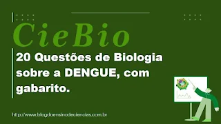 20 Questões de Biologia sobre a DENGUE, com gabarito.