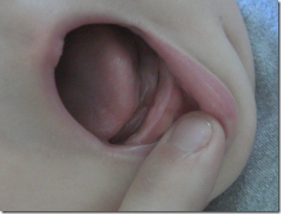 PICT4009