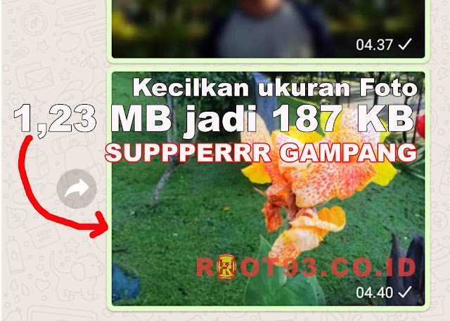 Cara Mudah Memperkecil Ukuran Foto Menggunakan WhatsApp
