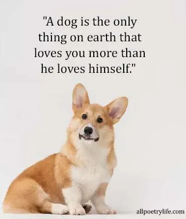 dog quotes, dog love quotes, funny dog quotes, dog friendship quotes, inspirational dog quotes, lost dog quotes, dog captions for instagram, dog captions, short dog captions for instagram, puppy quotes, dog sayings, short dog quotes, dog birthday wishes, cute dog quotes, dog best friend quotes, dog birthday quotes, funny dog captions, dog mom quotes, dog death quotes rainbow bridge, dog memorial quotes, dog loyalty quotes, dog heaven quotes, dog sympathy quotes, funny dog sayings, rescue dog quotes soulmate dog love quotes, rainbow bridge dog quote, dog quotations, death of a dog quotes, sympathy loss of dog quotes, dog die quotes, dog passing quote, phrases for dogs, comfort sympathy loss of dog quotes, dog passing away quote, words about dog, quotes about pit bulls, dog quotes for instagram, dog status, dog lover caption, cute dog captions, touching dog quotes, dog birthday captions, puppy captions for instagram, captions for dog lovers, puppy love quotes, dog love quotes short, dogs are better than humans quotes, caption for dog pic, happy dog quotes,