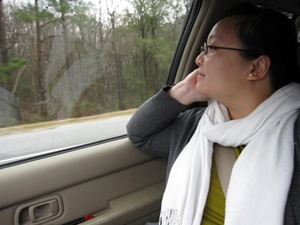 Picture 042
