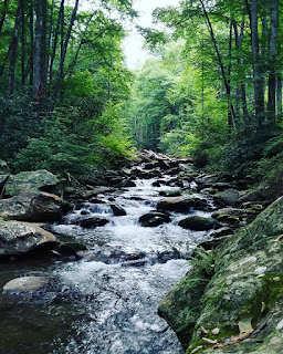 free camping, curtis creek, black mountain, north carolina, river, stream, peaceful rocks, peaceful river