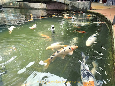 ada kolam ikan kap