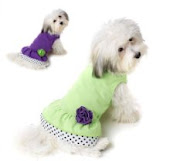 Petrageous Polka Dot Ruffle Dog Dress