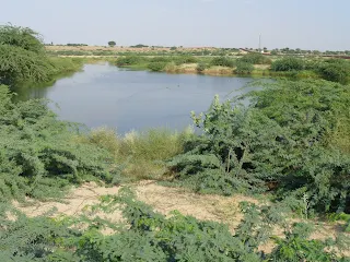 थार क्षेत्र