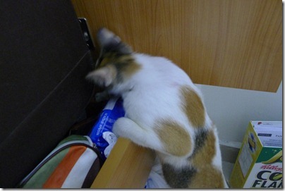 ransacking my stuffs, what the hell
