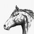 At Başı Karakalem Çizim