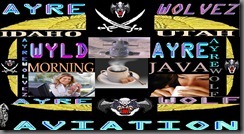 WYLDAYRE MORNING JAVA HEDDER