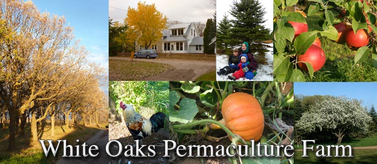 White Oaks Permaculture Farm