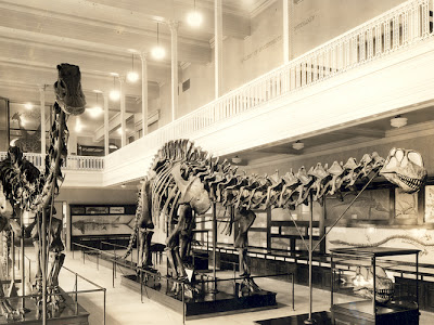 Forget extinct: The Brontosaurus never even existed