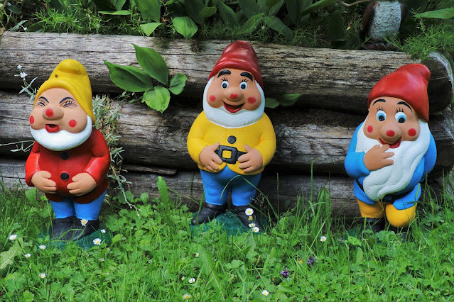 gnomos