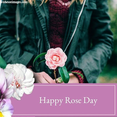 Images of Happy Rose Day