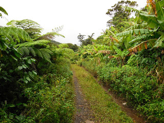 2nde partie du sentier vers le bassin