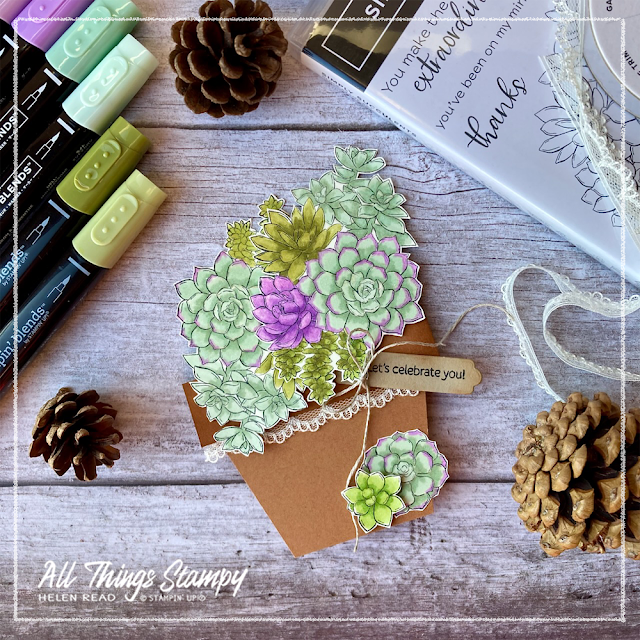 Simply Succulents Stampin Up UK