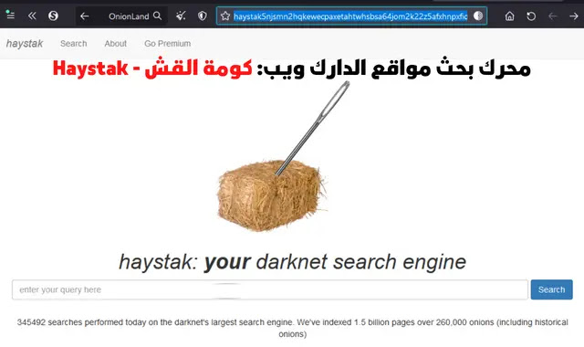 من محركات البحث التي تمتلك قاعدة بيانات ضخمة تخص كل مواقع الشبكة المظلمة dark web