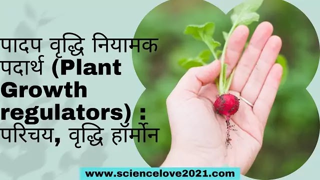 पादप वृद्धि नियामक पदार्थ (Plant Growth regulators) : परिचय, वृद्धि हॉर्मोन|hindi