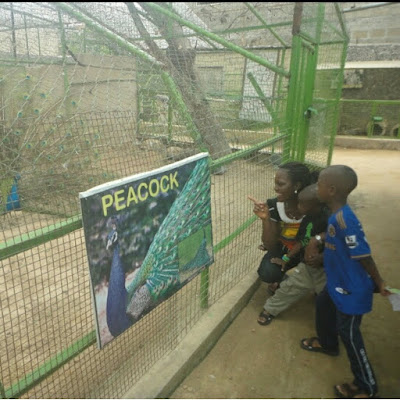 Origin Garden and Zoo in Ikorodu, Lagos State – Nigeria First’s Privately Run Zoo