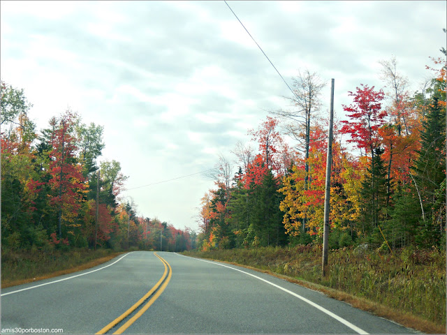 Carretera desde Lakeside Cedar Cabins al Parque Nacional de Acadia en Maine