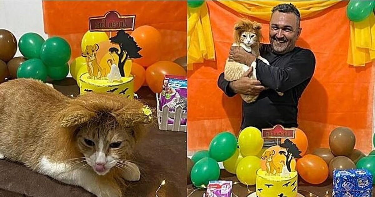 Hombre que se negaba a tener gato cierra la tienda para celebrar su cumpleaños