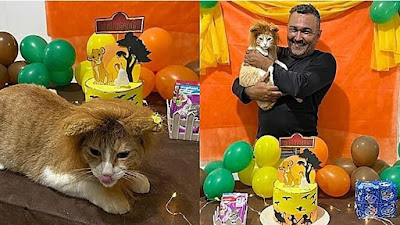 Hombre que se negaba a tener un gato cierra temprano su tienda para celebrarle el cumpleaños