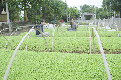 Lịch sử làng Thượng Nghĩa (Cam-Lộ tỉnh Quảng Trị)