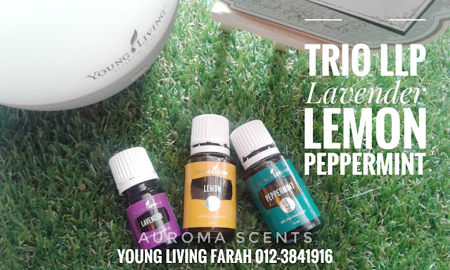 Pengedar Young Living Essential Oils Malaysia, Pengedar Young Living Essential Oils Sri Petaling