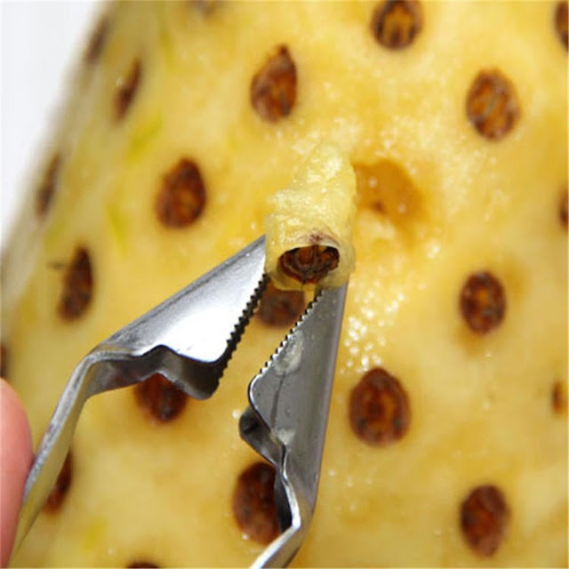 stainless-steel-kitchen-utensil-tools-pineapple-cutter-eye-seed-remover-peeler-slicer-fruit-core-tweezers,home.Fashion,Brand,New,Aliexpress For Sale Services
