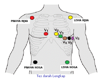 18+ Cara Pemasangan EKG, Inspirasi Yang Pas Untuk Hunian Anda