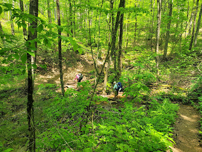 Appalachian Trail Section Hike