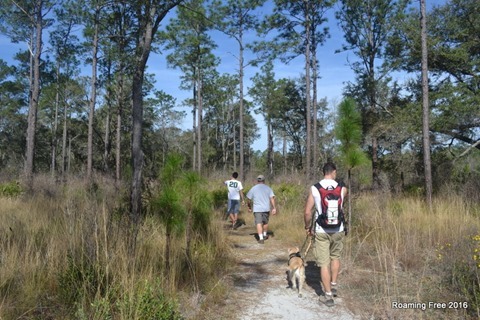 Gopher Tortoise Trail