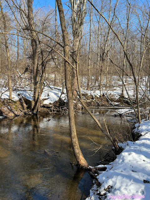 The gentle trickle of Brandywine Creek through the snow-covered banks soothed the soul.