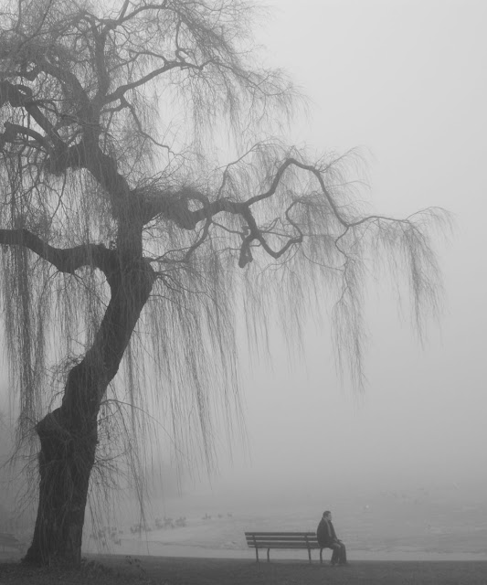 Alone in the fog