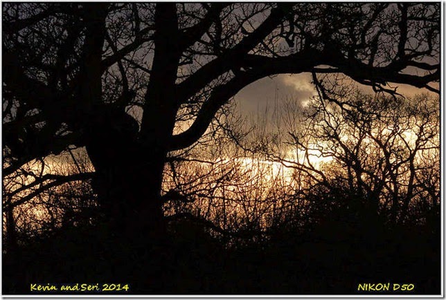 Middleton Lakes - December