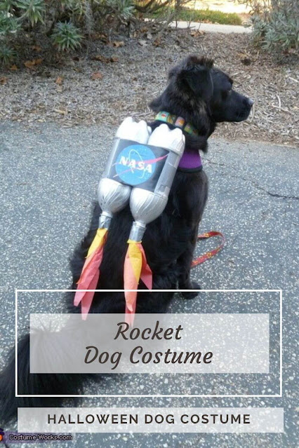 Rocket Dog Costume