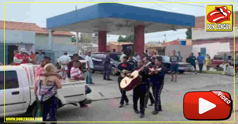 Romántico : Le lleva serenata con mariachis mientras hace la cola para la gasolina