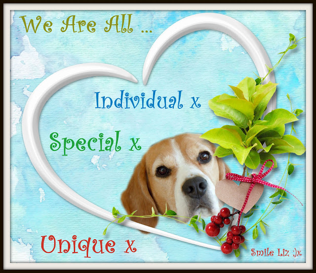 " My Inspirational Quote" .. My Beagle Smiles ... Individual, Special Unique