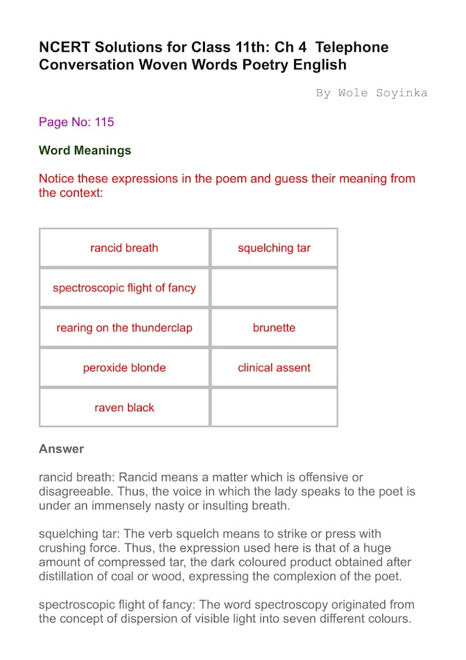 NCERT Solutions - Class 11 English - Woven Words - Poem 4 - Telephone Conversation