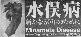 minamata disease