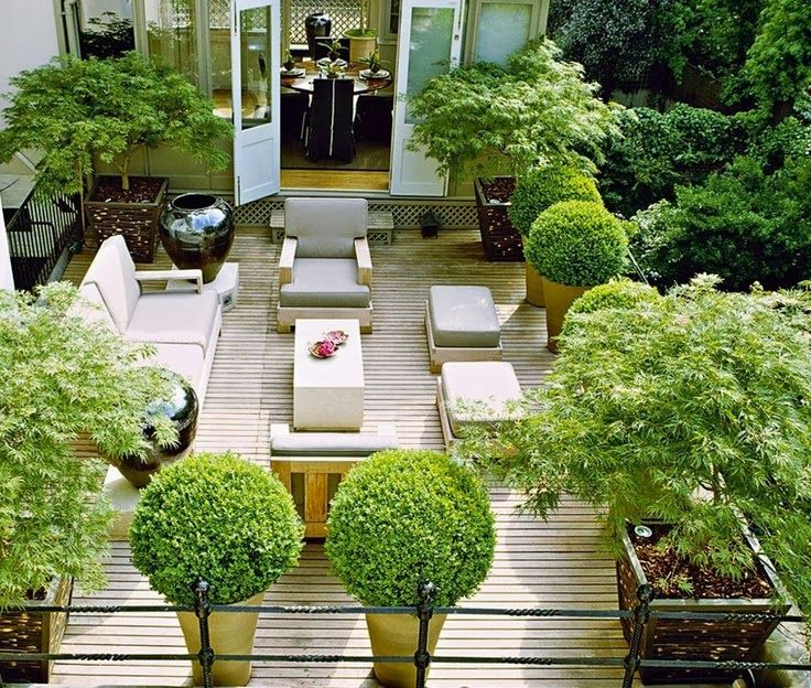 20 Desain Roof  Garden Rumah  Minimalis 